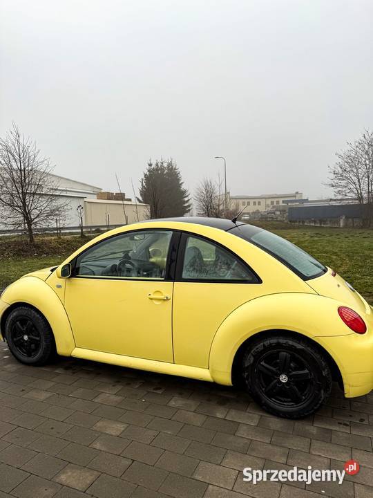 VW Beetle Garbus 16 101 Limanowa
