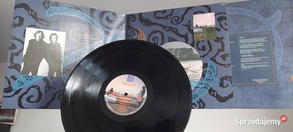 Płyty winylowe Pink Floyd płyta winylowa