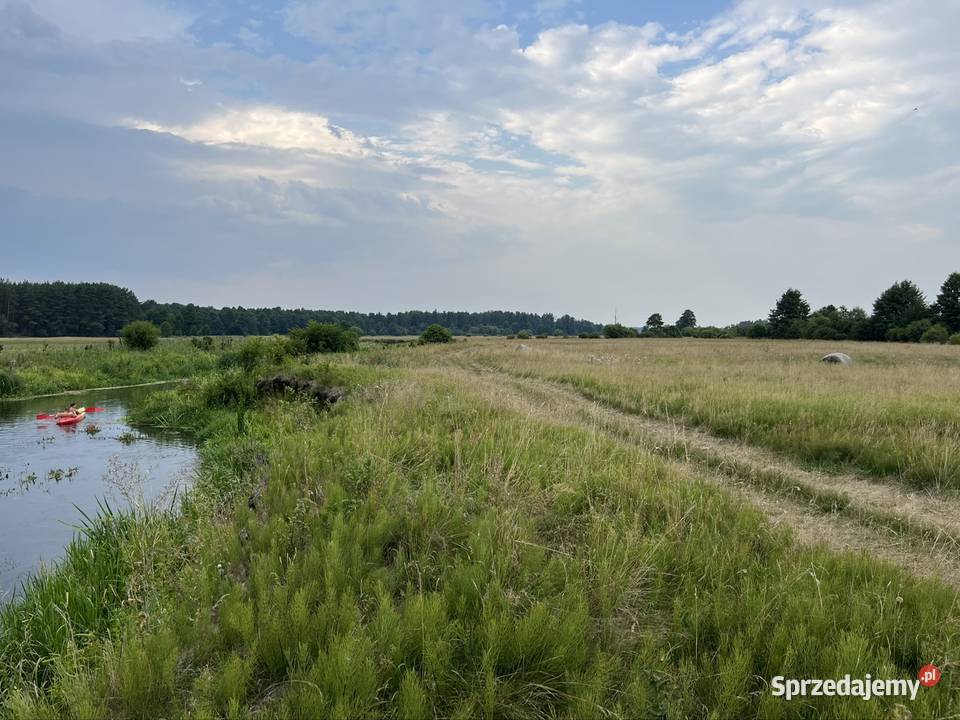 Sprzedam łąkę Liwcem w Jarnicach mazowieckie Jarnice