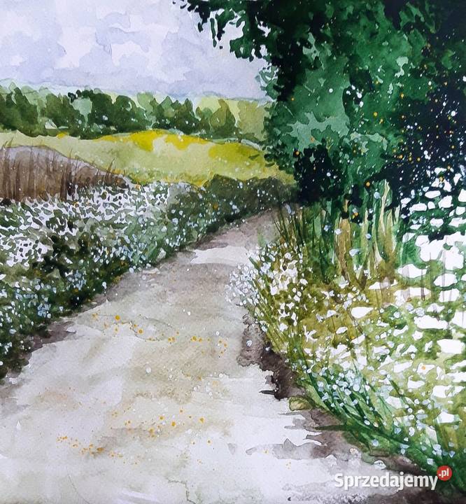 ŁĄKA TUŻ PRZED BURZĄ akwarela krajobraz pejzaż Katowice