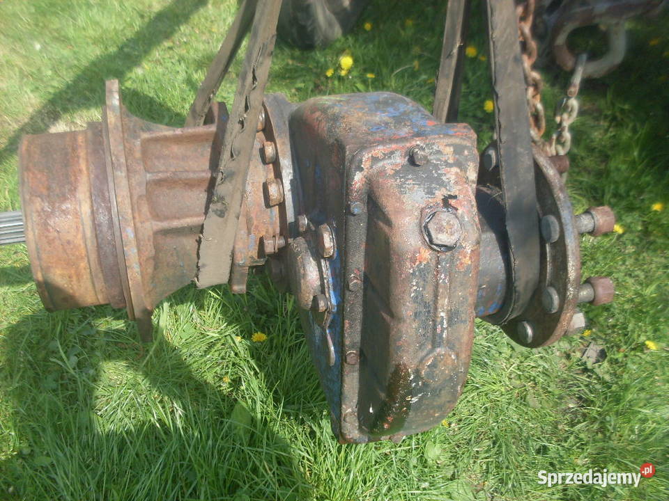 zwojnica wielkopolskie