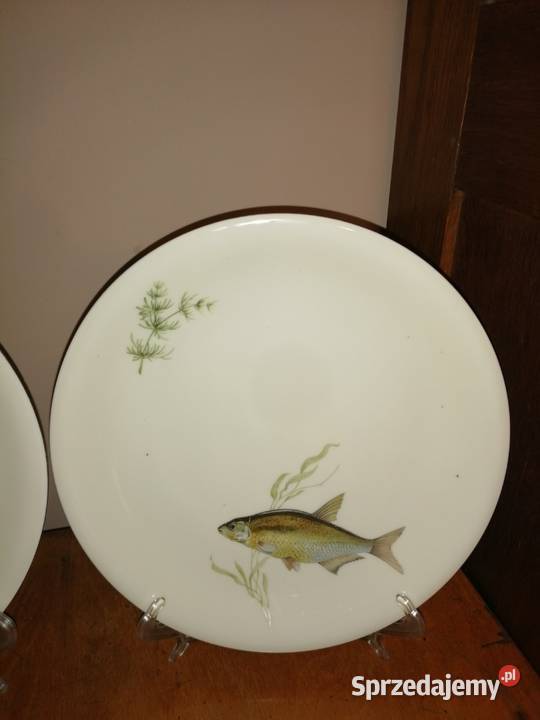 talerze z rybą porcelana Scherzer Bavaria 2 Siemianowice Śląskie