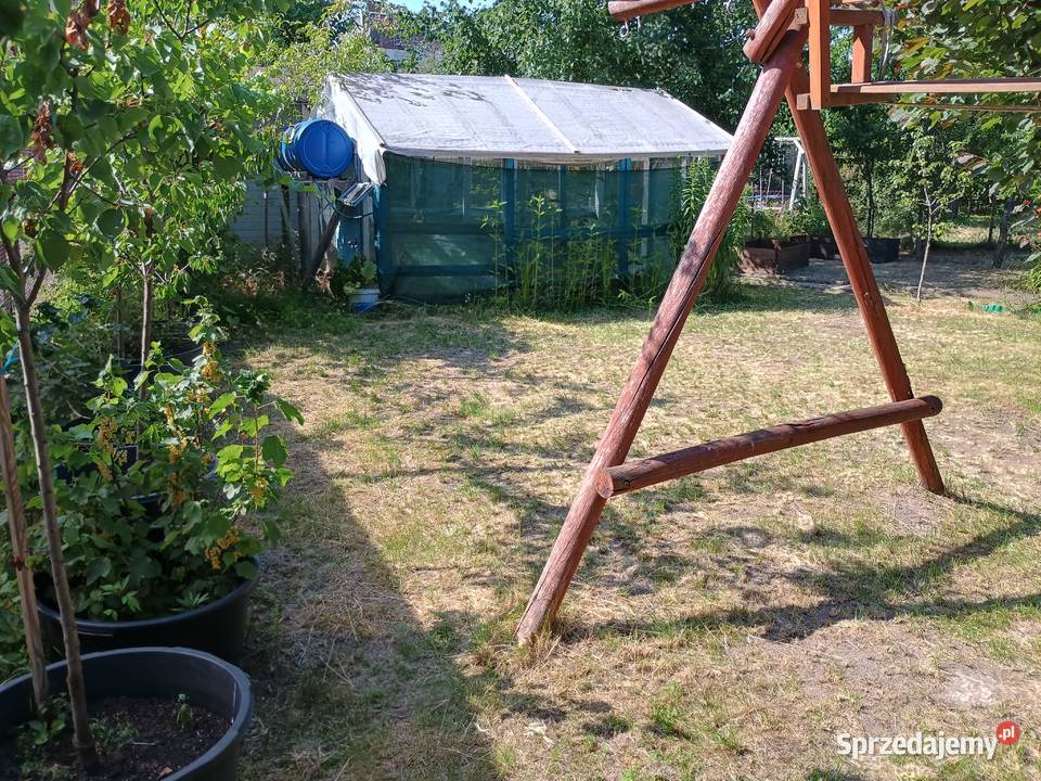 ROD Westerplatte ogródek działkowy Grunwaldzki 88zł/m2 Wrocław sprzedam