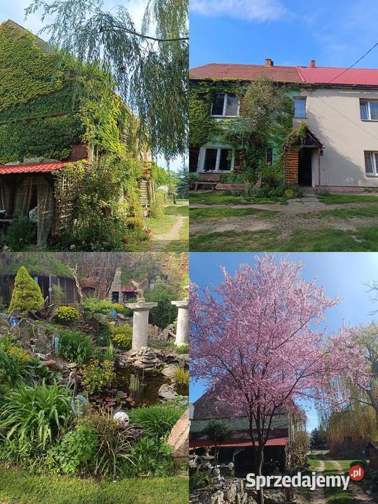 Dom z ogrodem Jarosław sprzedam