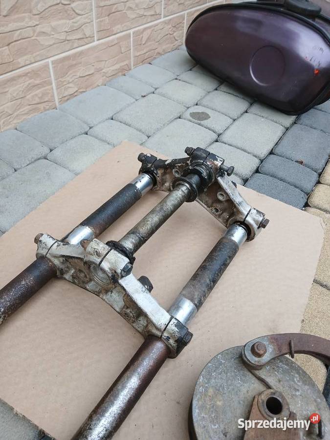 Wsk lelek dudek bąk Równe