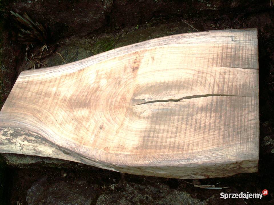 Dębowy blat pólka stolik do aranżacji gr 5 warmińsko-mazurskie Ełk