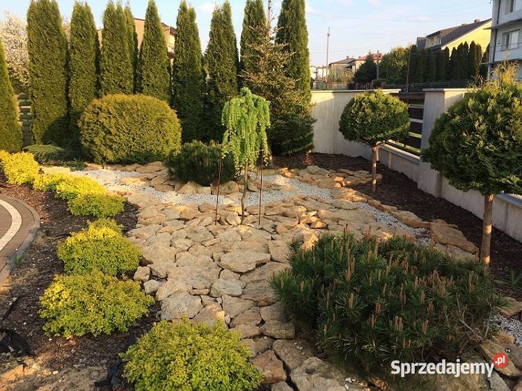 Kamień ogrodowy do ogrodu naturalny na skarpy