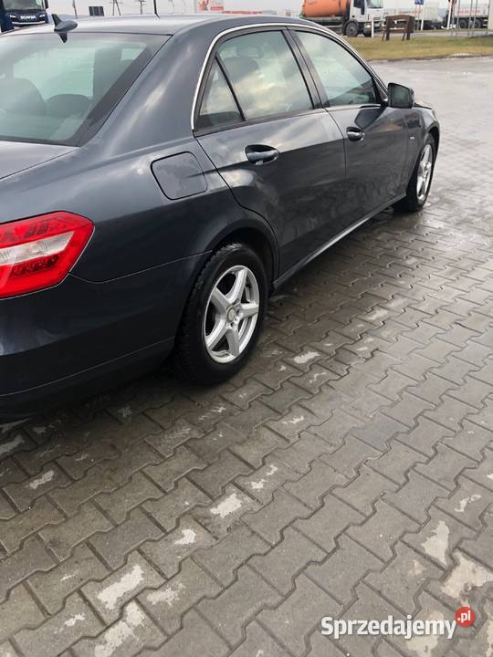 Mercedes w 212 Bronina