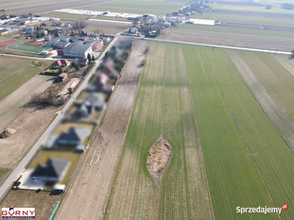 Działka Gomulin 16400m2