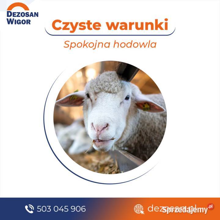 Dezosan 250 sucha dezynfekcja w hodowli bydła Brzesko sprzedam