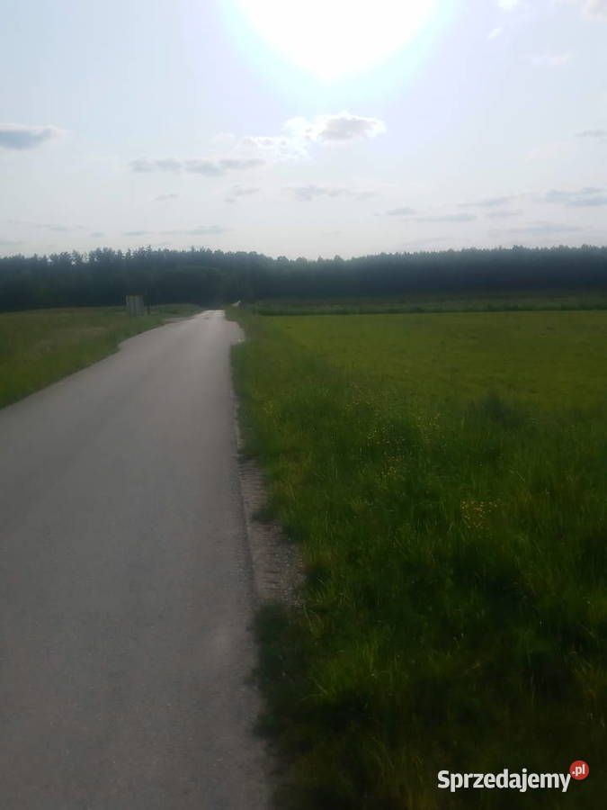 Działka rolna o powierzchni 198 hektara Potok Rządowy sprzedam