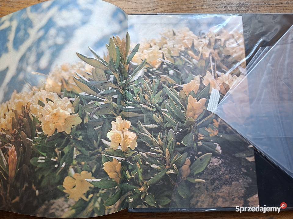 The Heights ahead VGippenreiter j angielski i