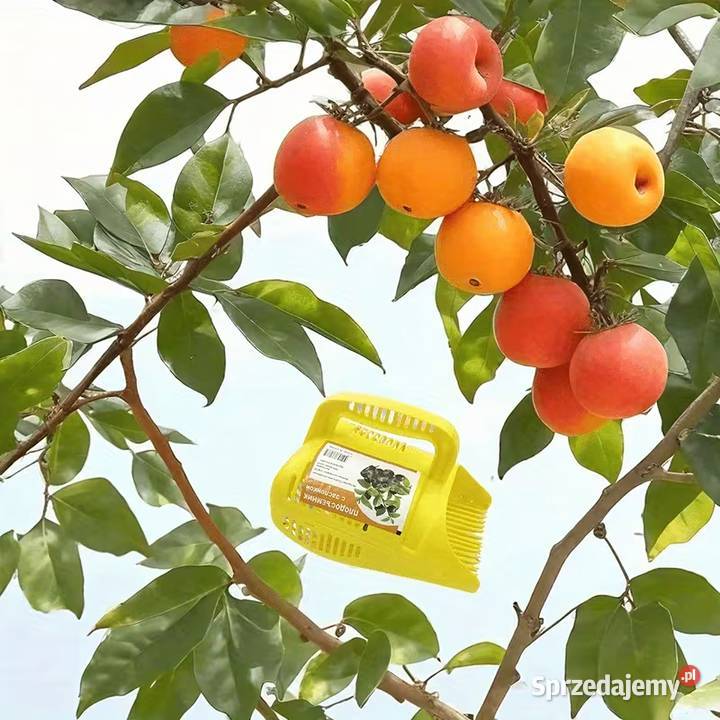 Zbieraczka Do Jagód Maszynka Borówek Owoców