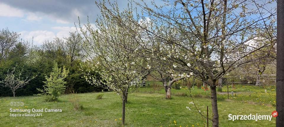 Sprzedam działkę ROD Bartoszki kNidzicy 500m2
