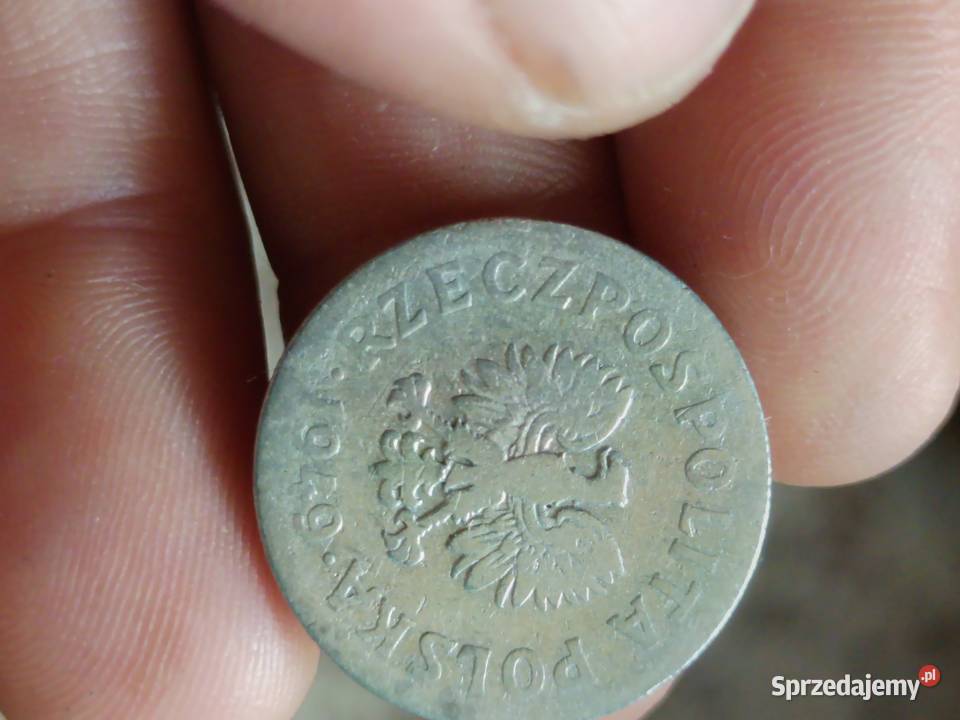 Sprzedam monete 50 gr 1949 r lllllll Chełm