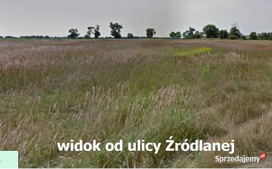 Sprzedam działkę 22ha inwestycyjnobudowlaną 22600m2 Sprzedaż Lelów