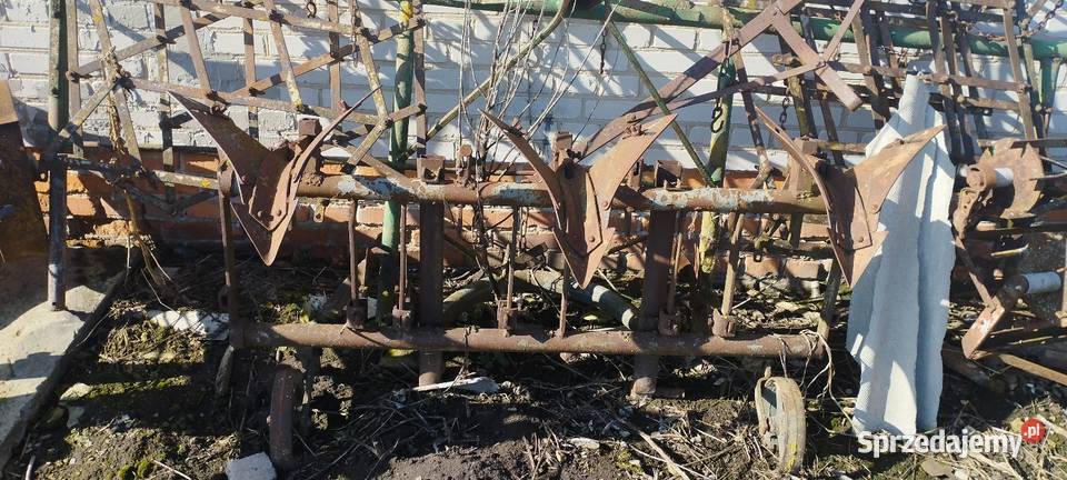 Obsypnik do ziemniaków Czernięcin Poduchowny