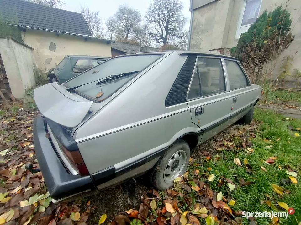 Polonez Borewicz