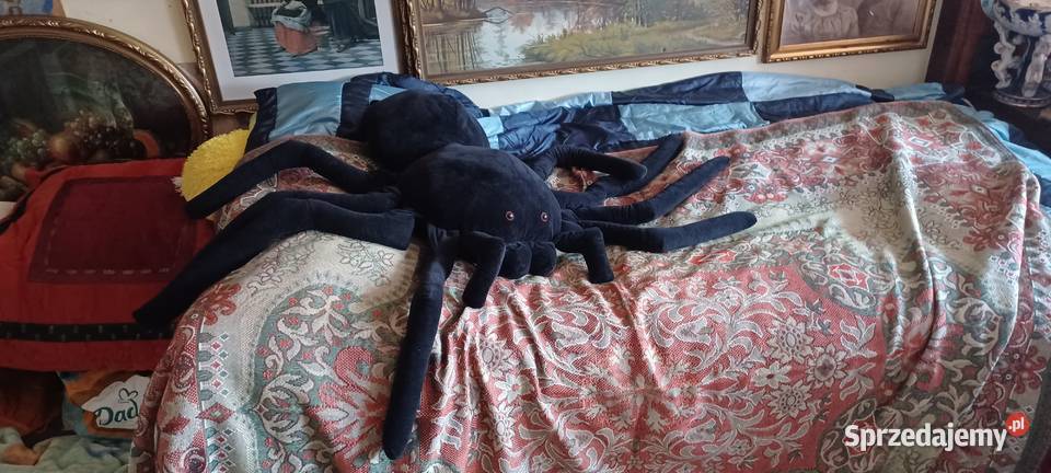 MASKOTA OLBRZYMI PAJĄK MIĘKKA CZYSTA OCZY Poznań sprzedam