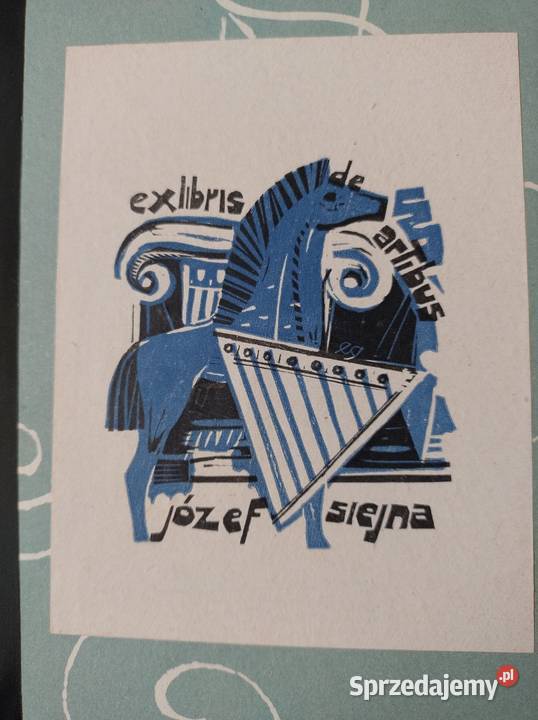 Album Różne kolory Żory