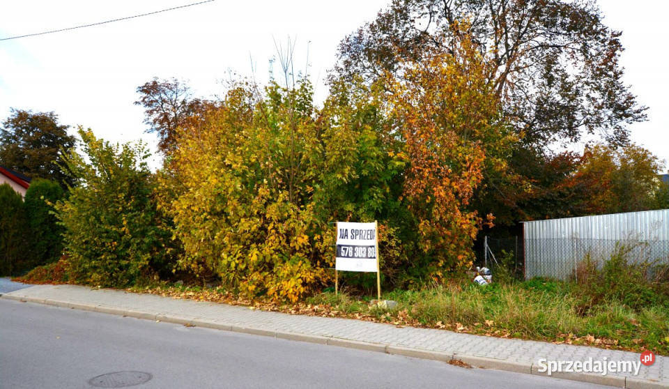sprzedaży gruntu 579m2 Piaski Sprzedaż