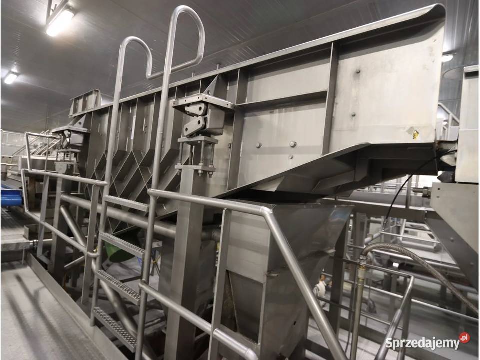 Odenberg Alpha Maszyna do gradowania ziemniaków Krotoszyn sprzedam