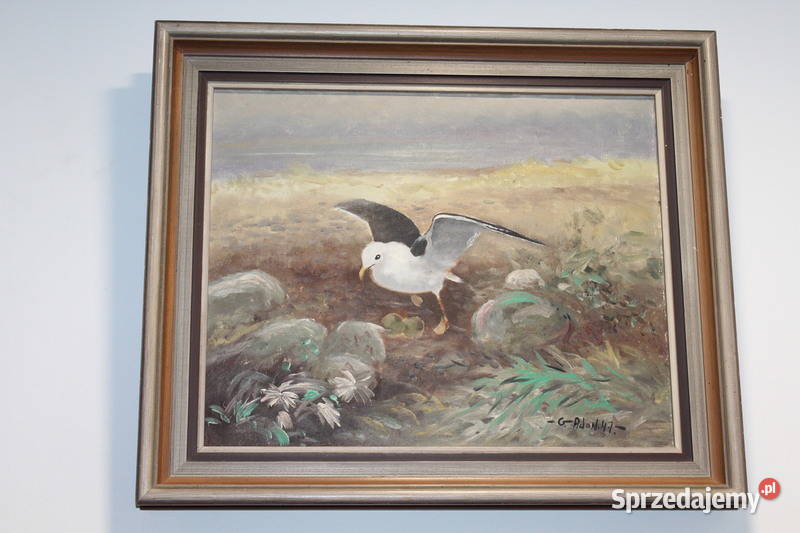 Obraz Mewa GAdon 297 FiaF Szczecin