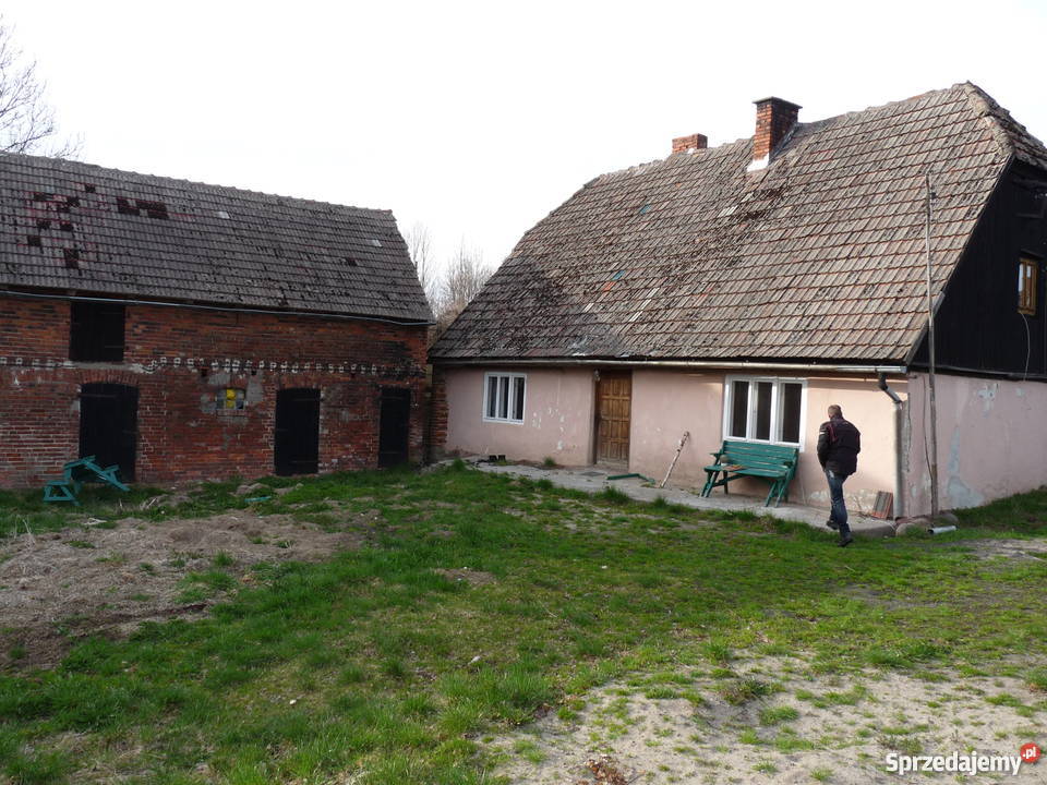 anio Gospodarstwo rolne Paprotki gm Malechowo Paprotki