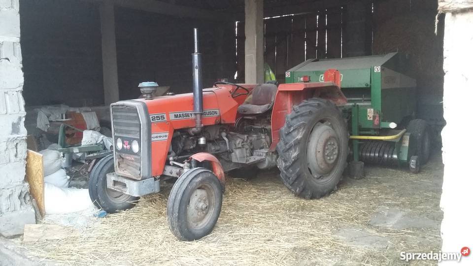 CIAGNIK MASSEY FERGUSON 255 wielkopolskie Turek