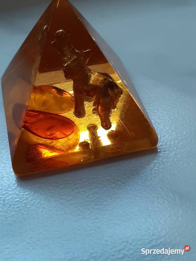Bryła bursztynu Siedlce