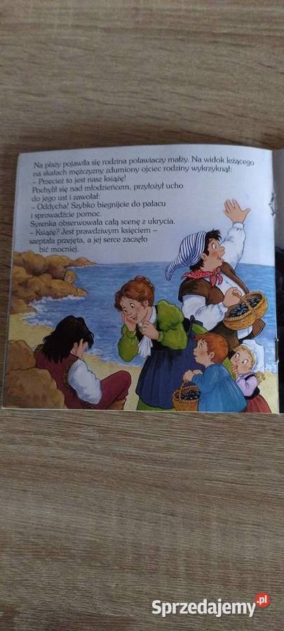 Mała syrenka Lublin