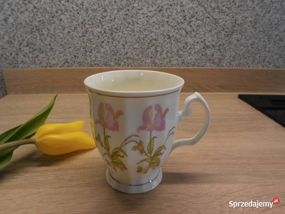 Filiżanka Dadoos Bone china Porcelana i szkło Raszków