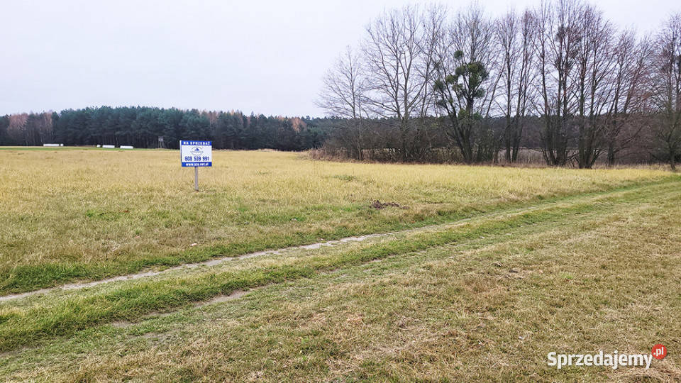 Malownicza działka 122 ha lesie Radawie polna