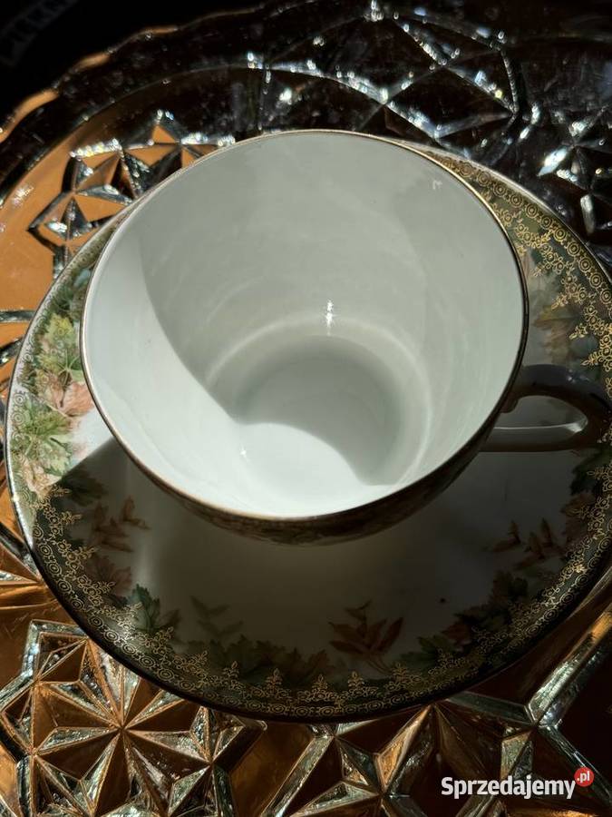 Filiżanka CT Altwasser