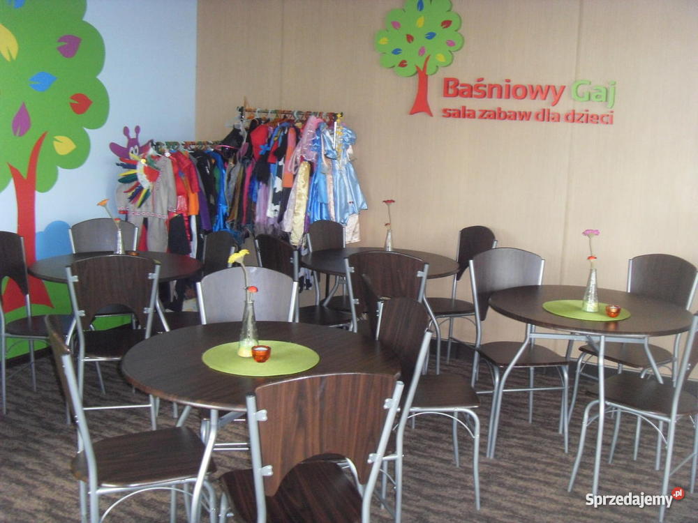 Odsprzedam biznes Sala zabaw w Redzie