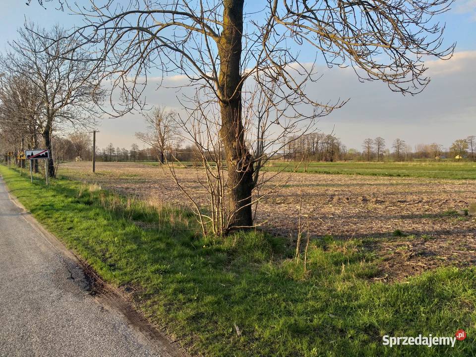 Działka budowlana w świetnej lokalizacji 46zł/m2 mazowieckie Zieleniec