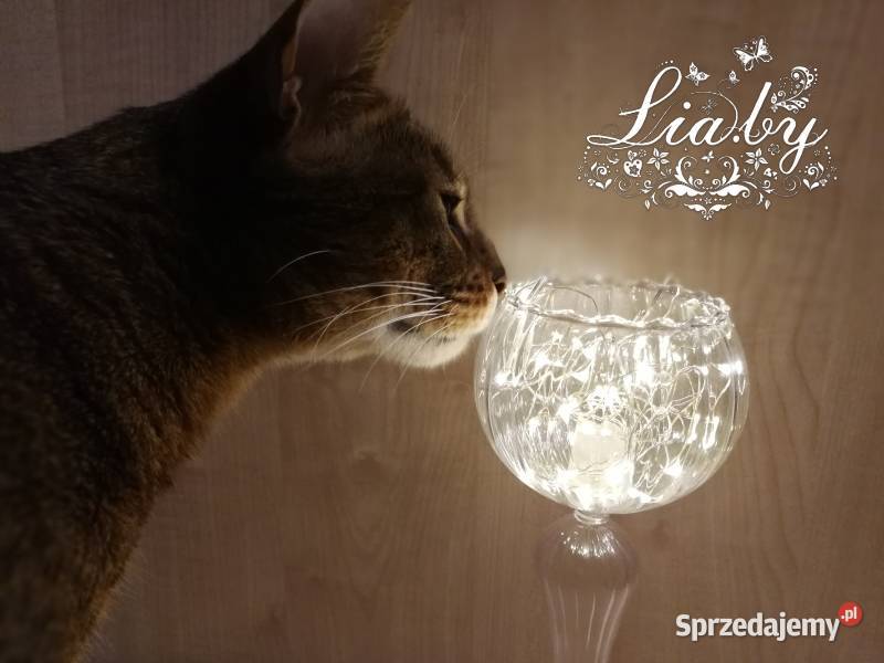 Dekoracyjne diody LED