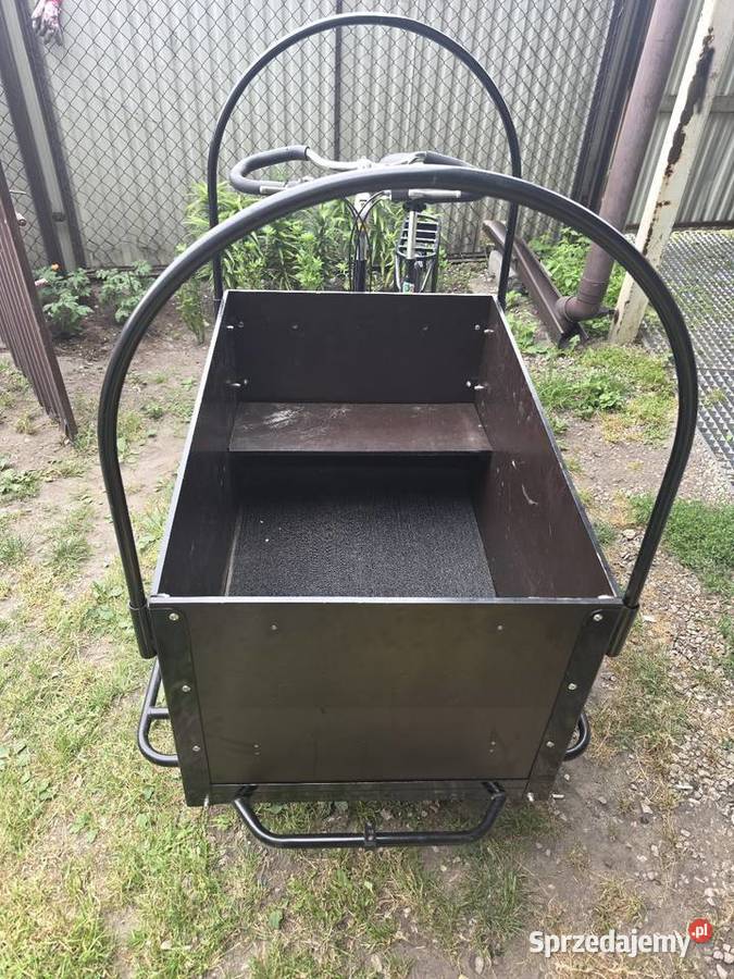 Rower towarowy cargo FanoTec FT95