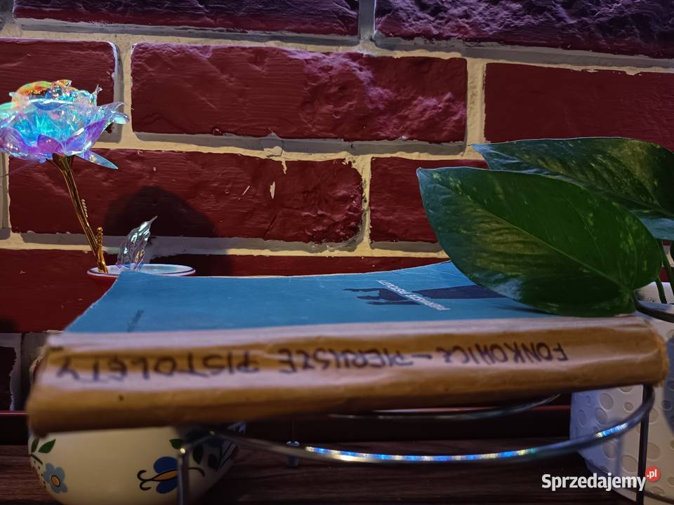 Powieść Wojenna Pierwsze pistolety Jerzy Bydgoszcz