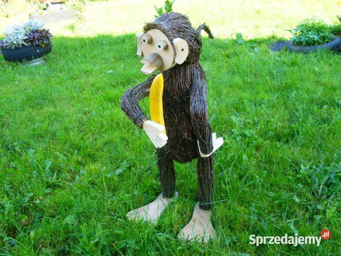 małpka Borzytuchom