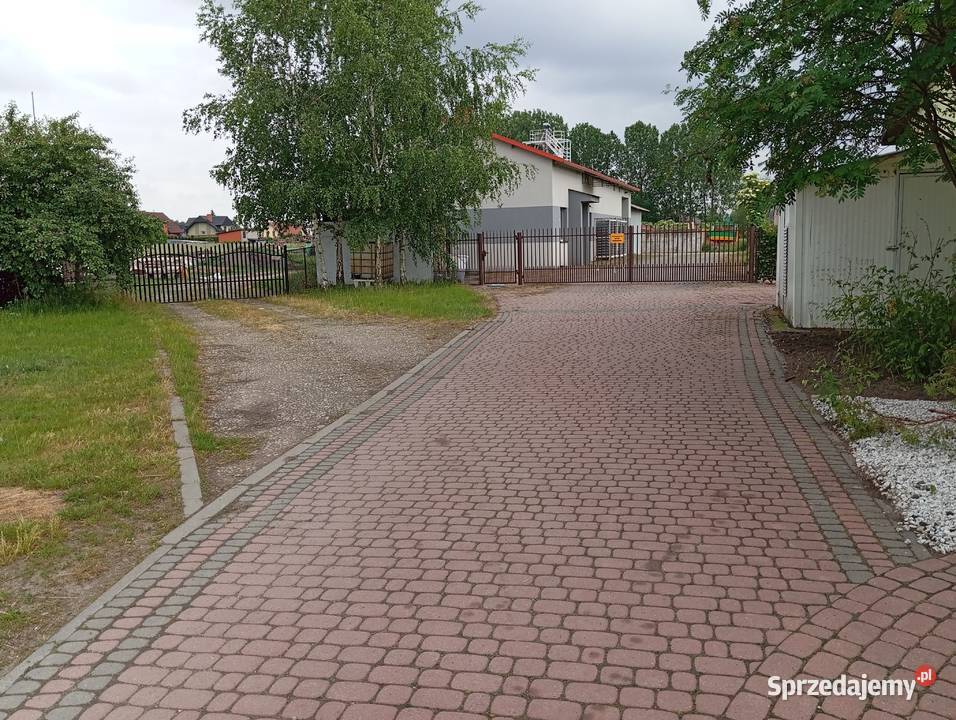 Do wynajęcia obiekt produkcyjny ok 250m2 ubojnia Osiecza Pierwsza