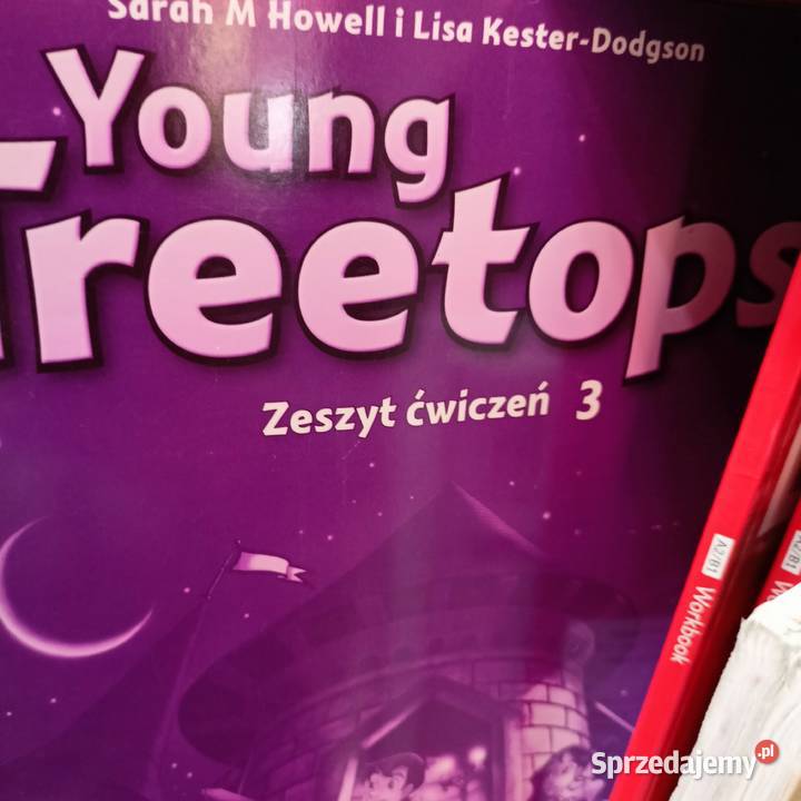 Young treetops zeszyt ćwiczeń workbook Warszawa