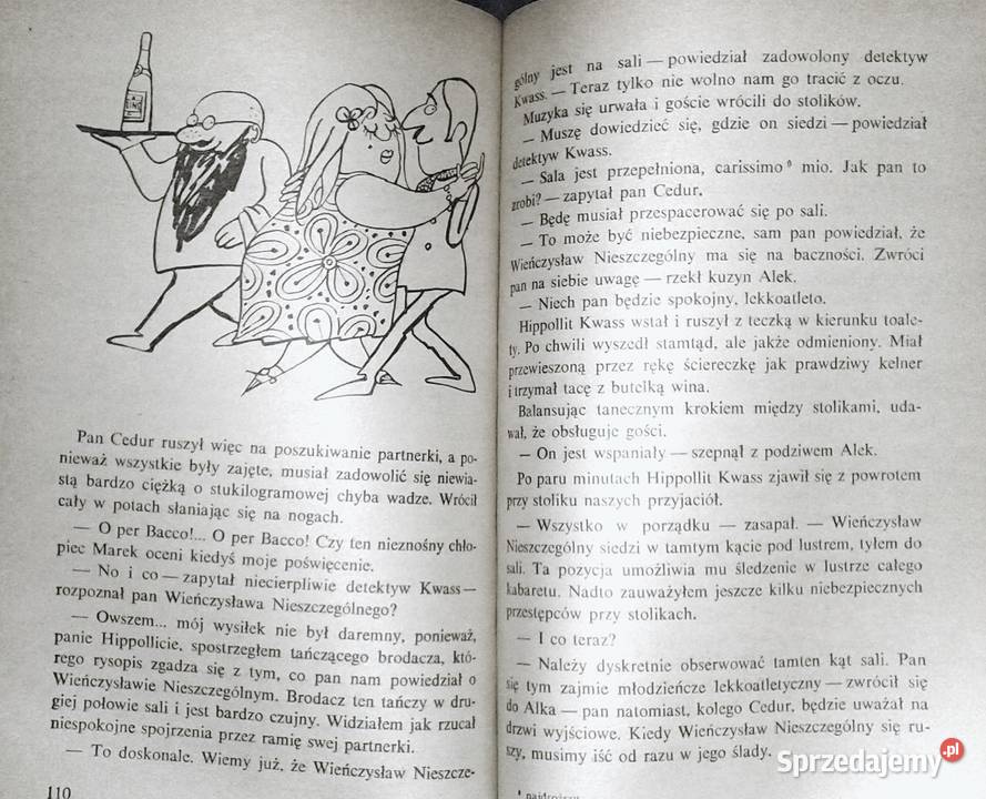 Niewiarygodne przygody Marka Piegusa Edmund Chełm