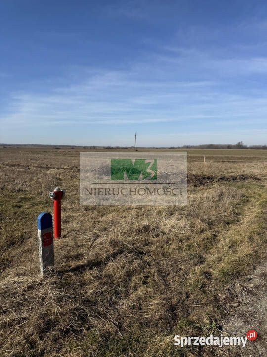 DO SPRZEDAŻY DZIAŁKA Z MOŻLIWOŚCIĄ ZABUDOWYDĘBNO Dębno