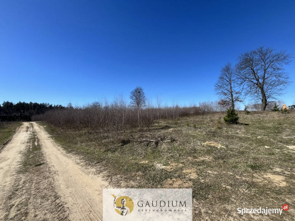 Działka pod budowę domu I 3104 m2 I gm Lubichowo budowlana Lipinki Królewskie