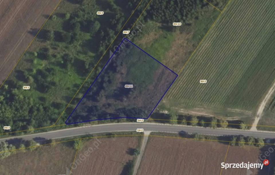 Działka 8911 w miejscowości Kamienica