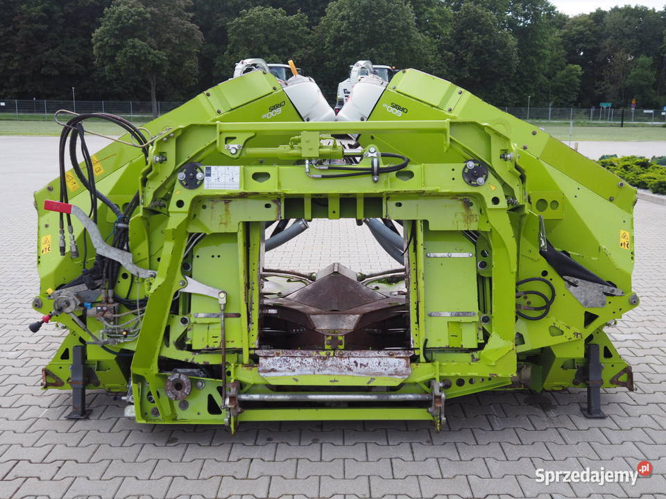 Claas Orbis 600 SD Przystawka do kukurydzy heder Stęszew