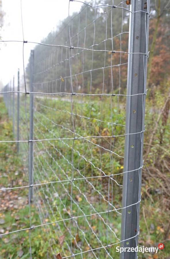 Ogrodzenie kur siatka metalowa leśna na dziki Cieśle