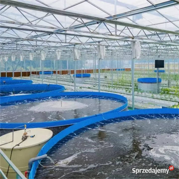 NOWE PVC Baseny do hodowli ryb Baseny do Warszawa