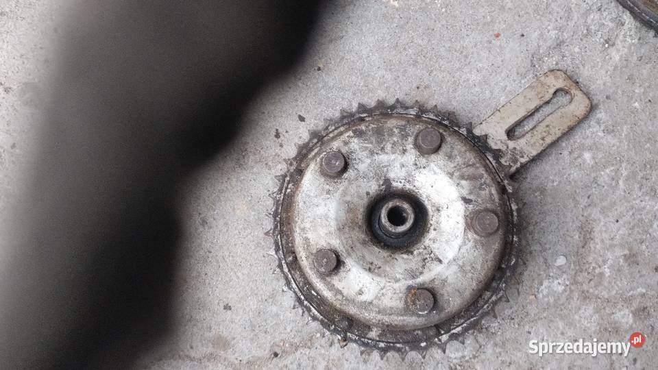 Wsk szczękotrzymacz polbebny podkarpackie Rzeszów
